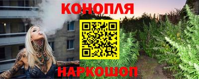 гидра Можга