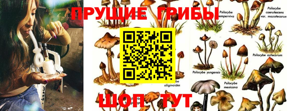 Энгельс  Галлюциногенные грибы мухоморы  наркотики  Галлюциногенные грибы Cubensis  Вход с VPN 